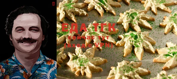 ECSTASY Медногорск